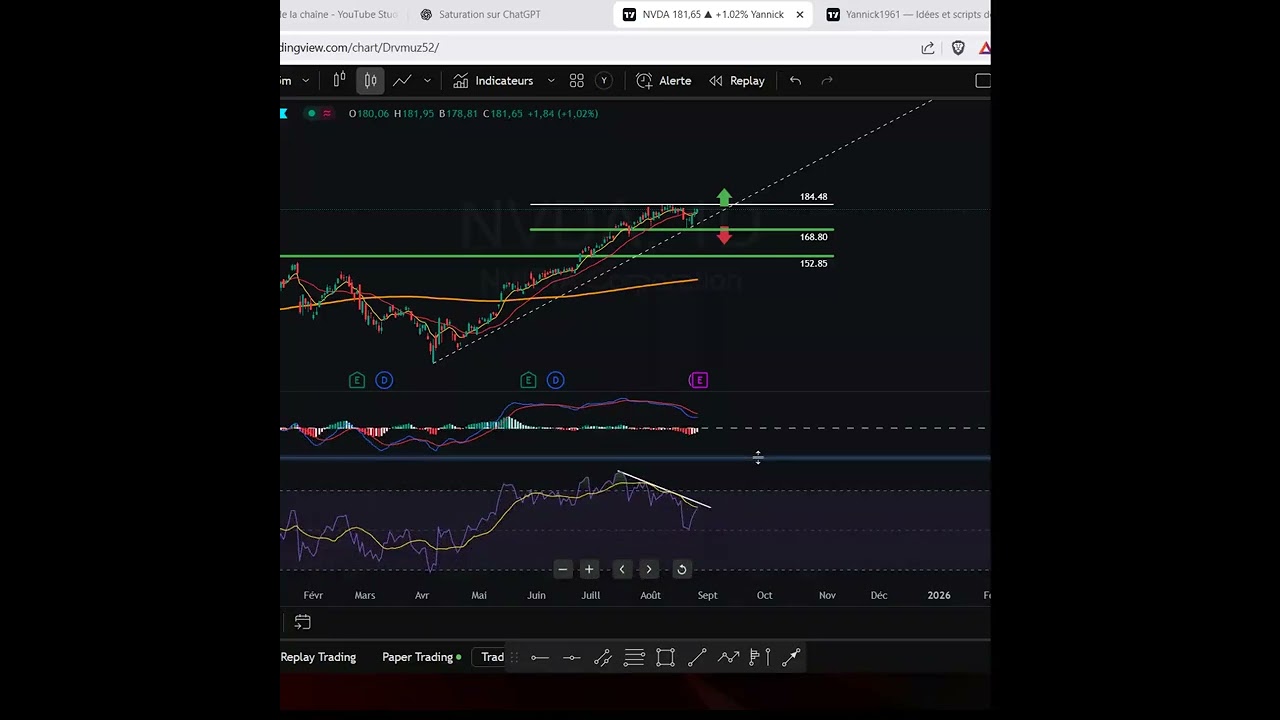 NVIDIA Results Tomorrow 📉