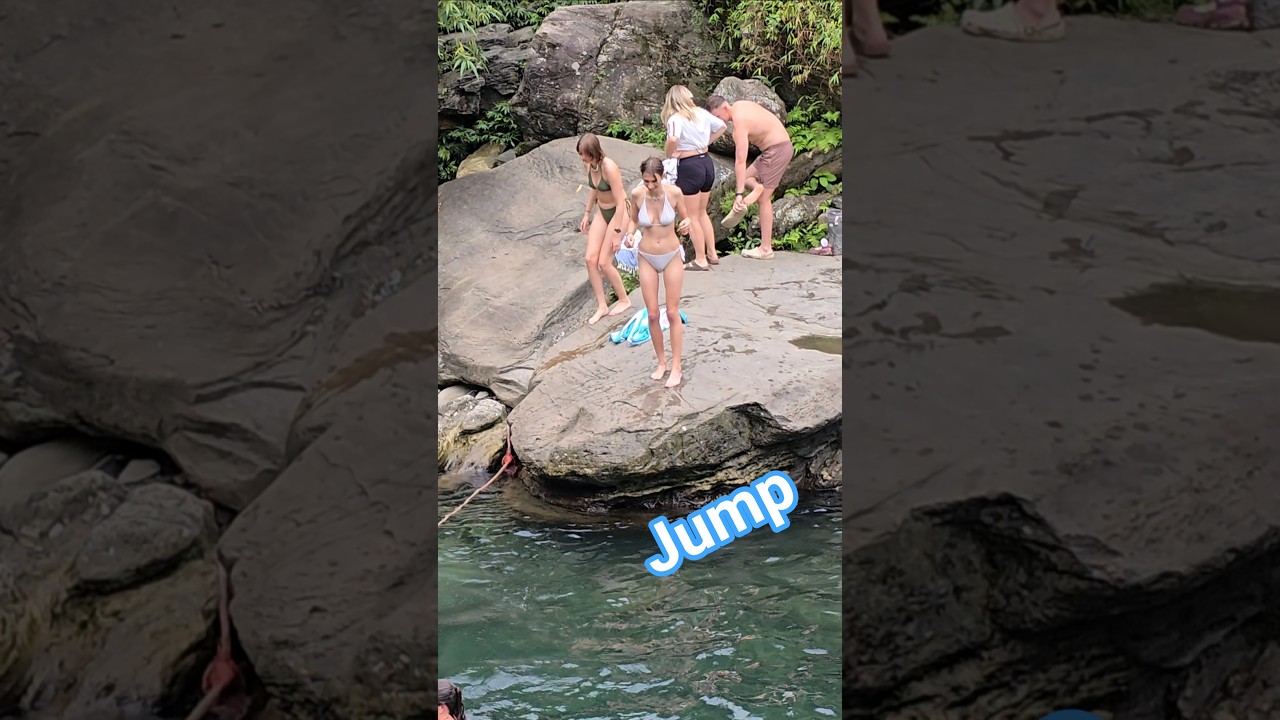 Discover a Stunning Forest Waterfall 🌲