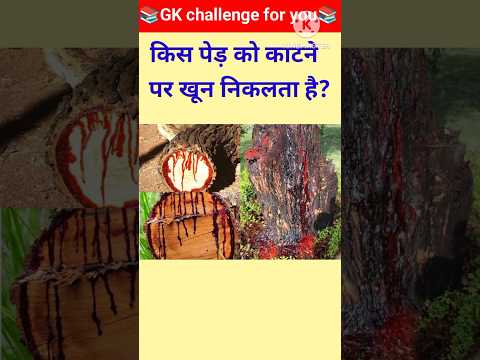 TOP 20 GK questions 💯🔥🥰 GK Question and answer #gk #upsc #ssc #staticgk #gkfacts #gkquestion