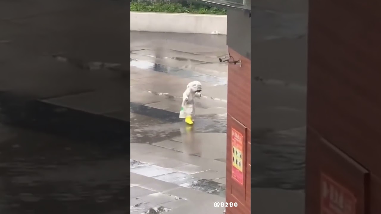 Beautiful Moments in Life Part 3 ❤️ | Heartwarming Highlights