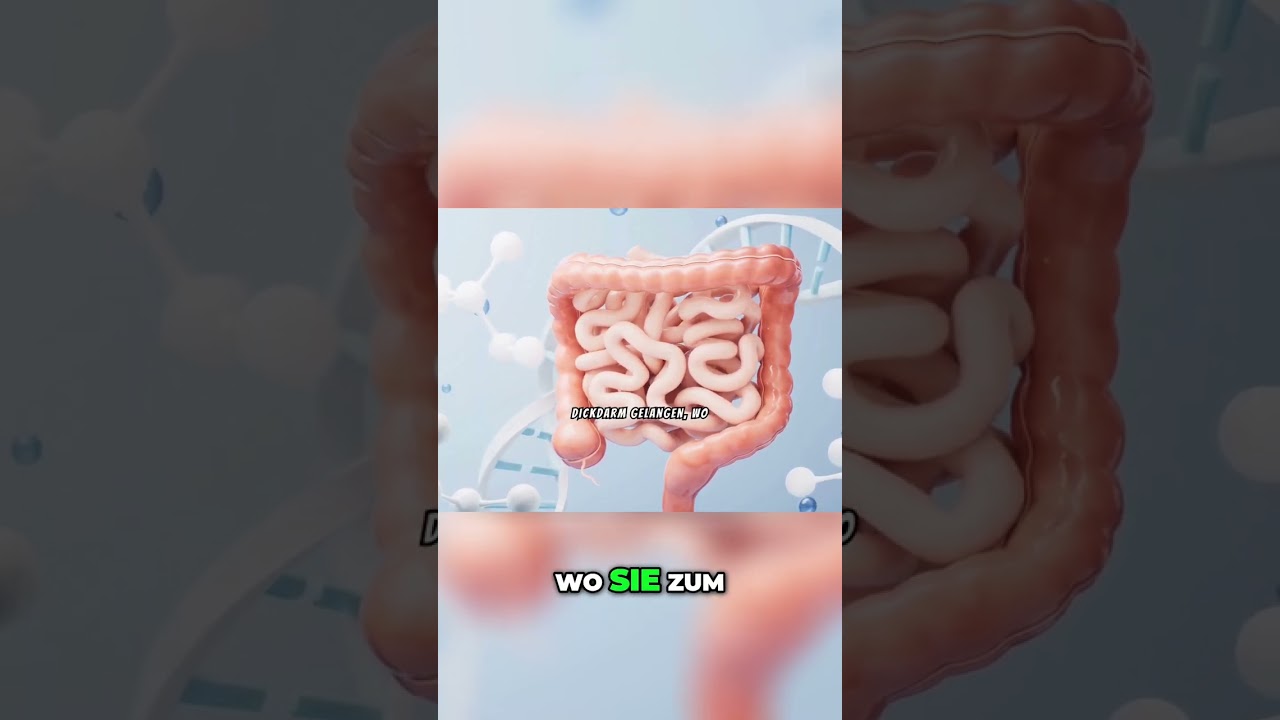 Fruktoseintoleranz & Zichorienkaffee: Was du wissen solltest