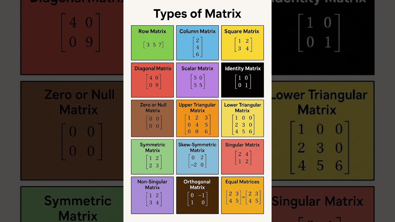 Different Types of Matrices 📊