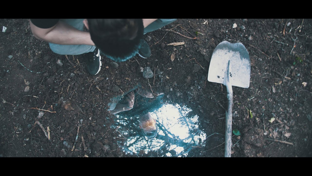 Walez & Alley - Jura 🎶