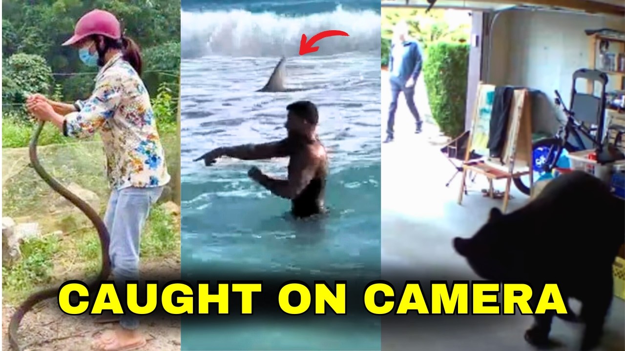 The Most Terrifying Animal Attacks of 2024