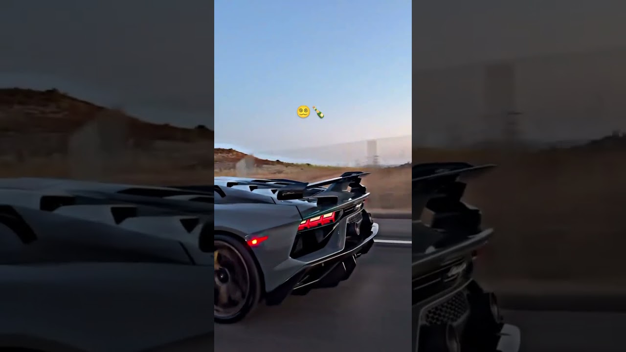 أفضل أغاني الراي الجزائري 2024 🎶