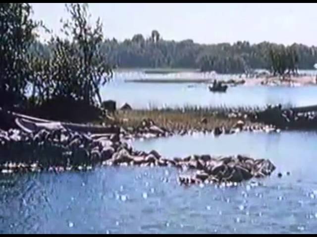 Ute Blåser Sommarvind – Malin’s Heartwarming Song from Saltkråkan 🌅