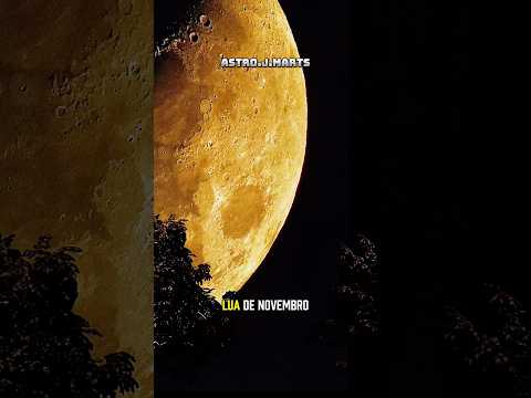 CHUVA DE METEOROS E SUPERLUA em Novembro!! 🌠🌕 #astronomy #meteorshower #superlua #space #sky