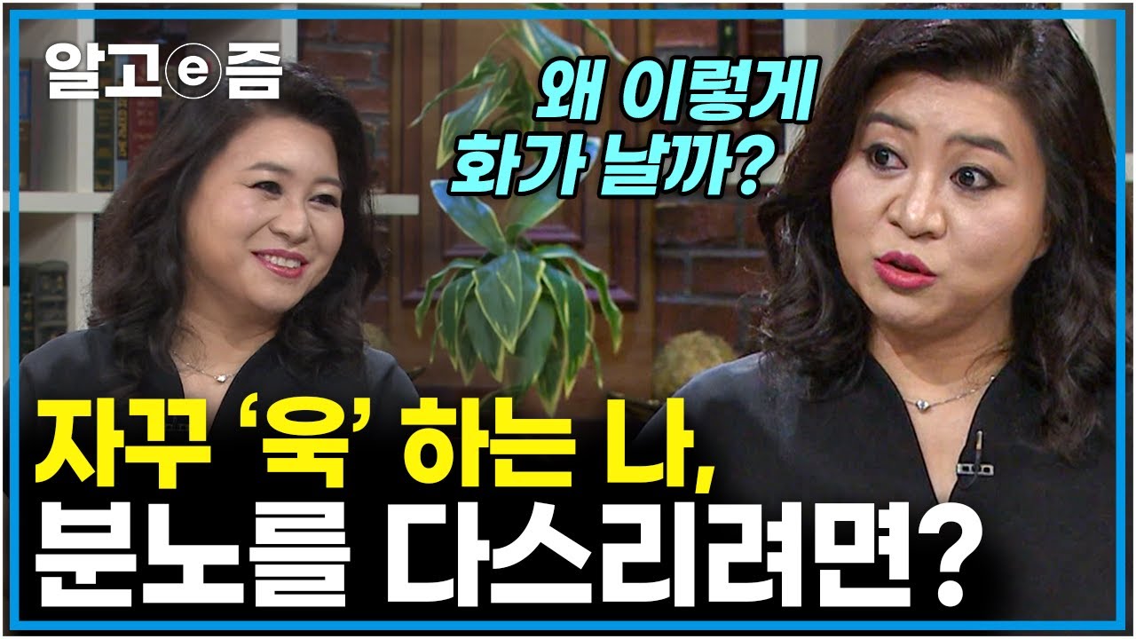 오은영 박사가 알려주는 감정 조절 비법! 🚀 욱하지 않는 부모와 아이 만들기