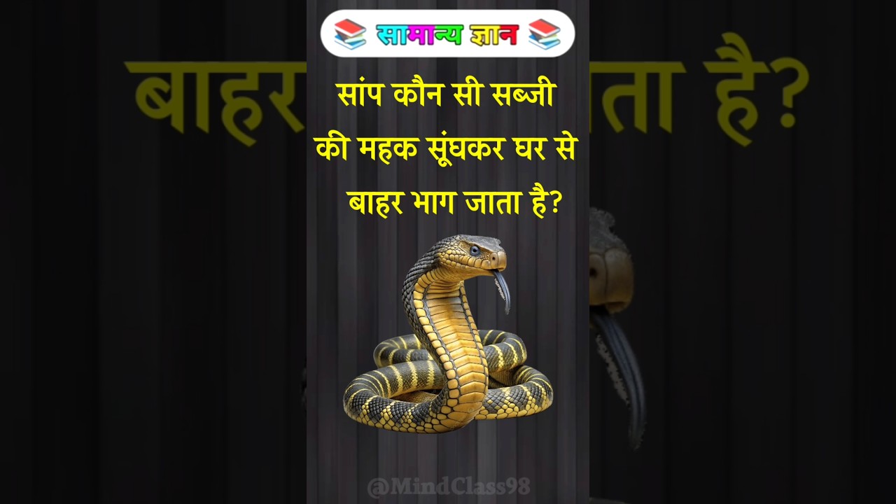 TOP 20 Top 20 Essential GK Questions to Boost Your Knowledge 📚