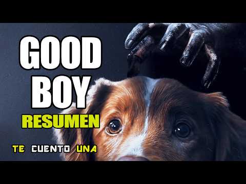 Good Boy | Perrito En PelĂcula De Terror, ÂżQUÉ PUEDE SALIR MAL? | RESUMEN