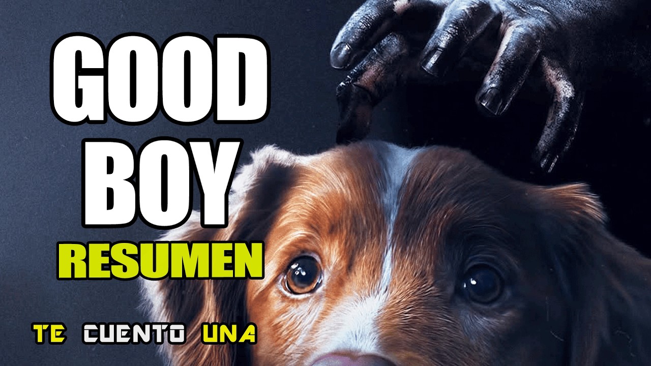 Good Boy | Perrito en Película de Terror, ¿Qué Puede Salir Mal? | Resumen
