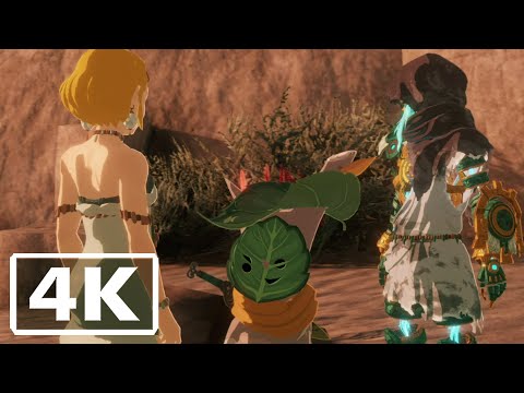 Hyrule Warriors: Age of Imprisonment - Zelda meets Link for the First Time (4K)