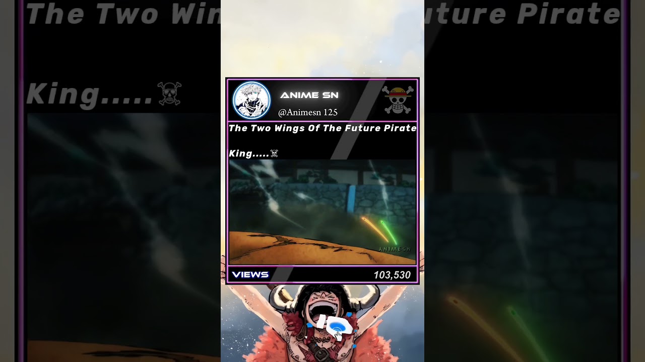 One Piece Episode 1046: Zoro & Sanji Action 💥