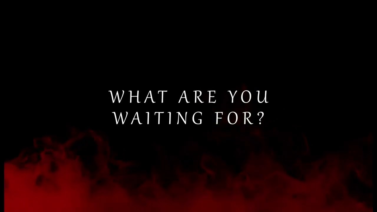 Chase Holfelder's Animal Lyrics Video 🎶