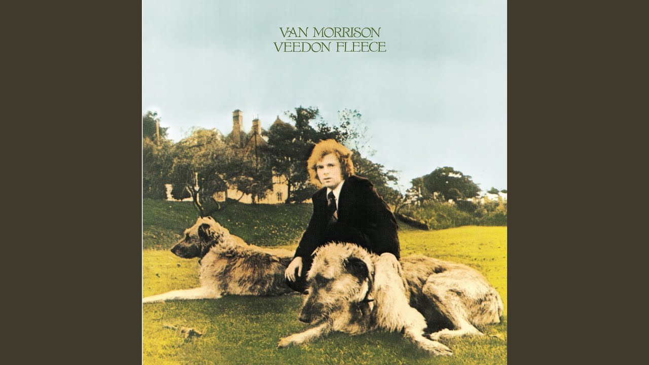Comfort You by Van Morrison 🎶