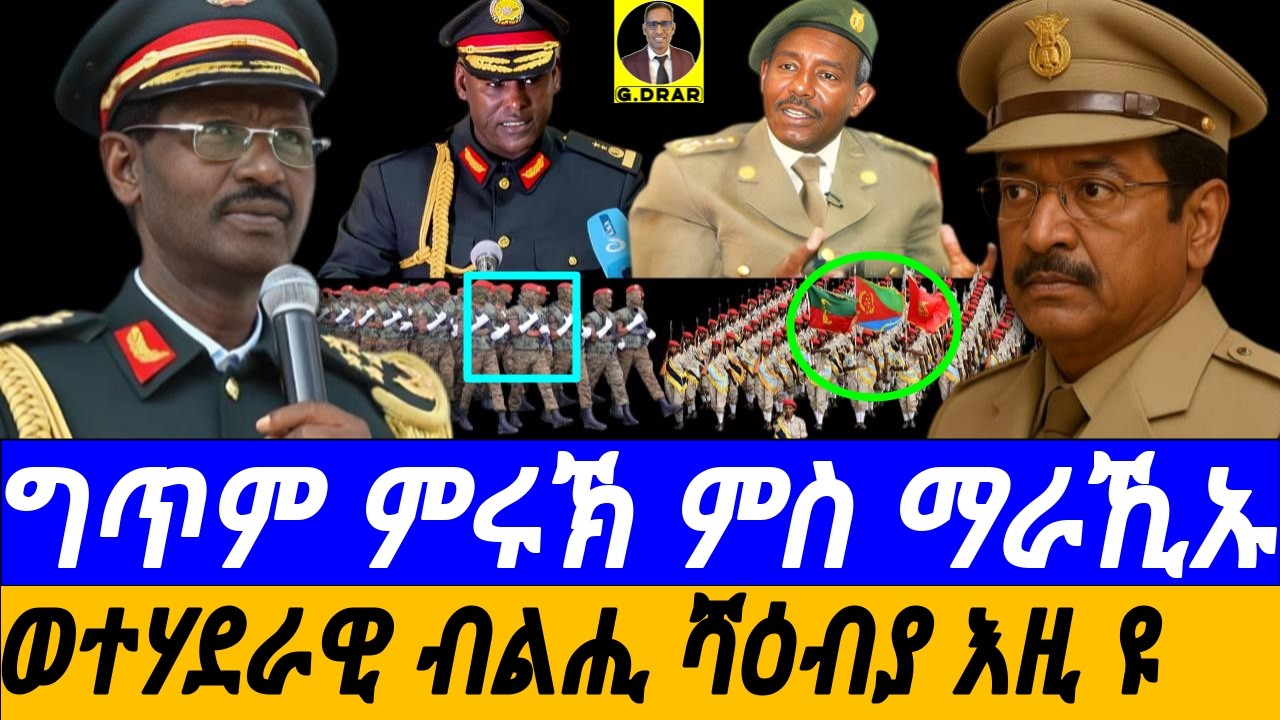 Eritrea's Military Philosophy & Investment Insights 🇪🇷 | Learn to Invest & Tech Skills