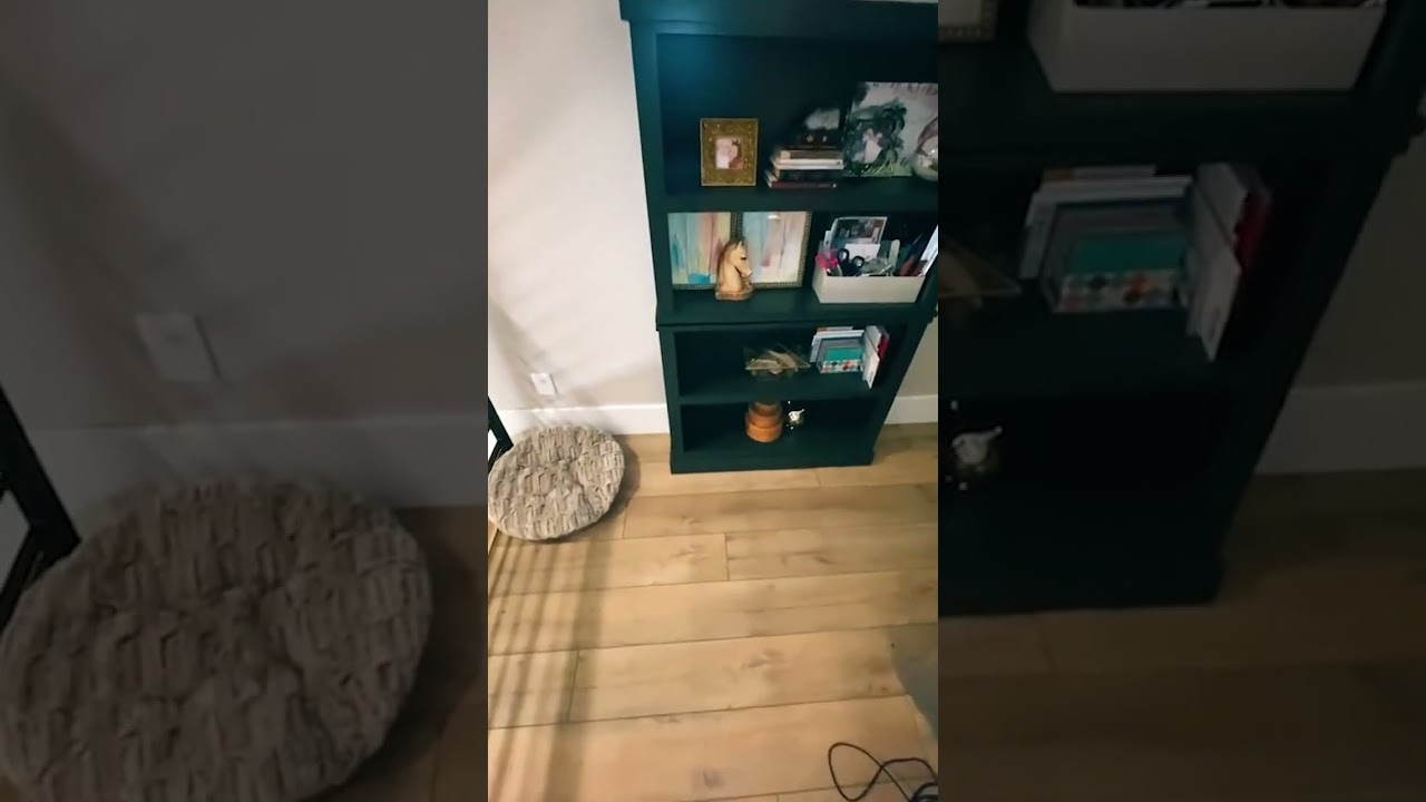 Hidden Room in Their House Revealed 😱
