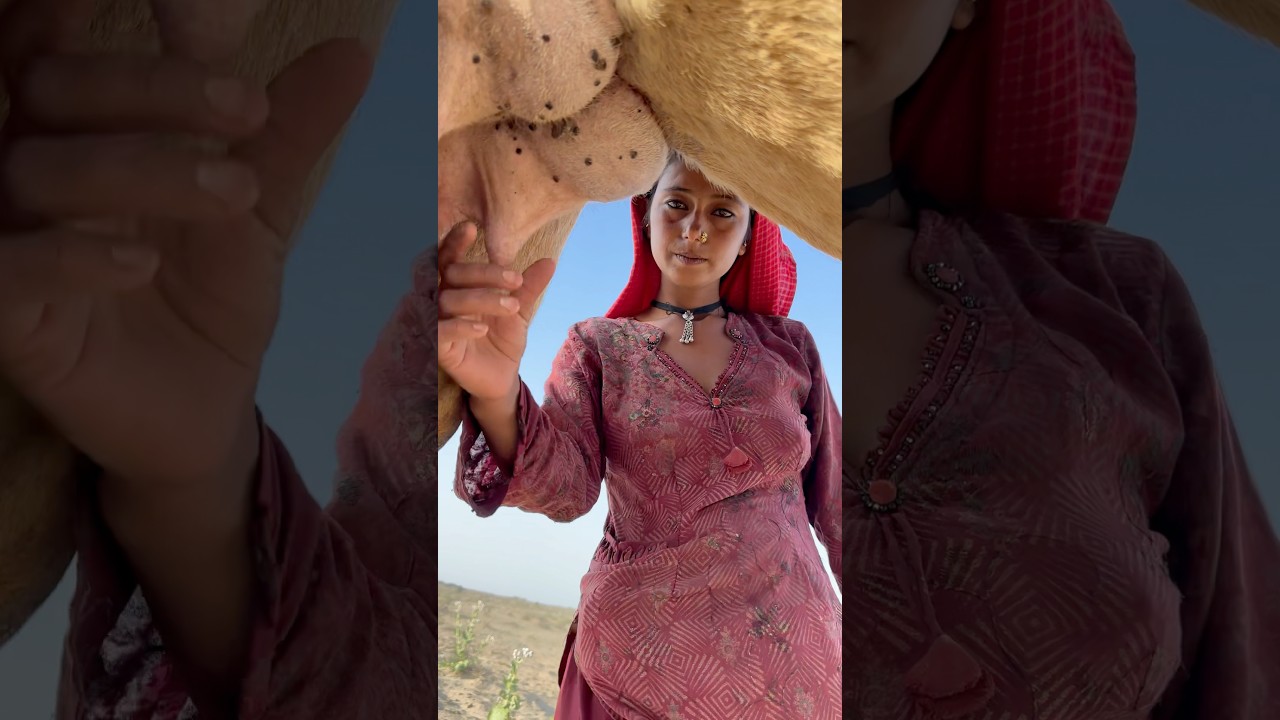 Experience Authentic Desert Life in India 🐪 | Traditions, Villages & Camel Milk