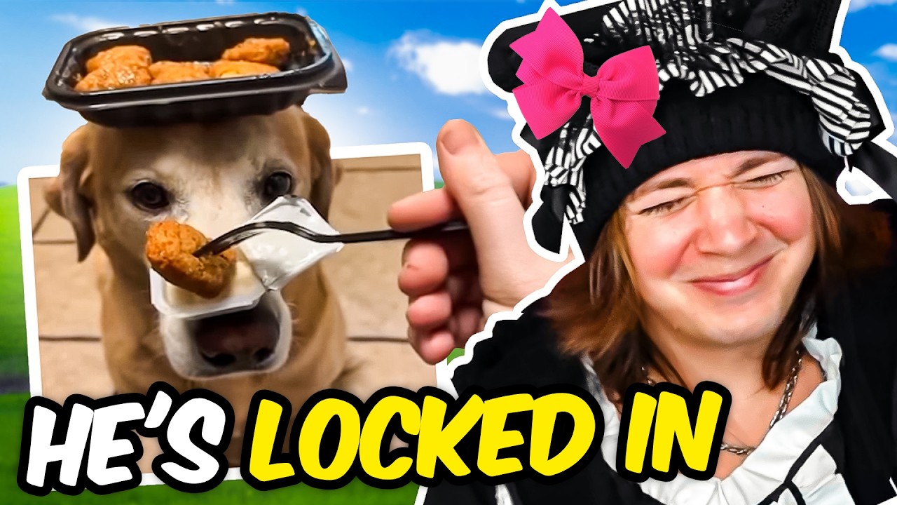 If I Laugh, The Video Ends! 😂