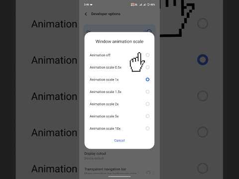 Speed Up Your Phone | Turn Off Animations in Developer Mode