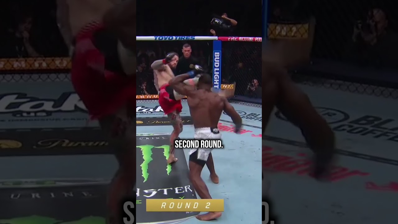 UFC 328: Brady Dominates Buckley 🥊