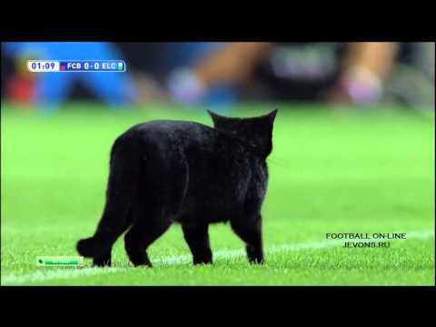 Черный кот на матче Барселона - Эльче Black cat Barca - Elche 2014 HD