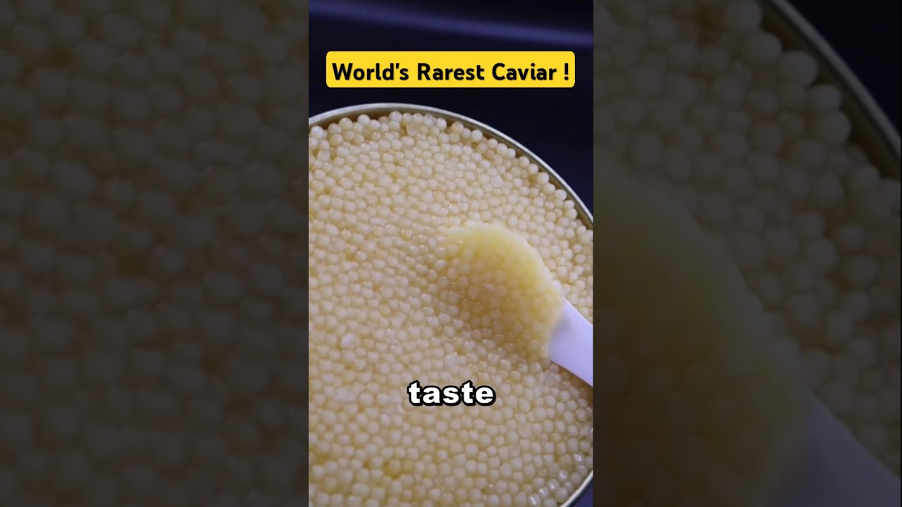 Almas Caviar: The World's Most Expensive Fish Eggs 🥚