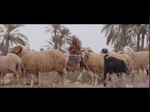 Balti   Fel Barima Layam Kif Erih