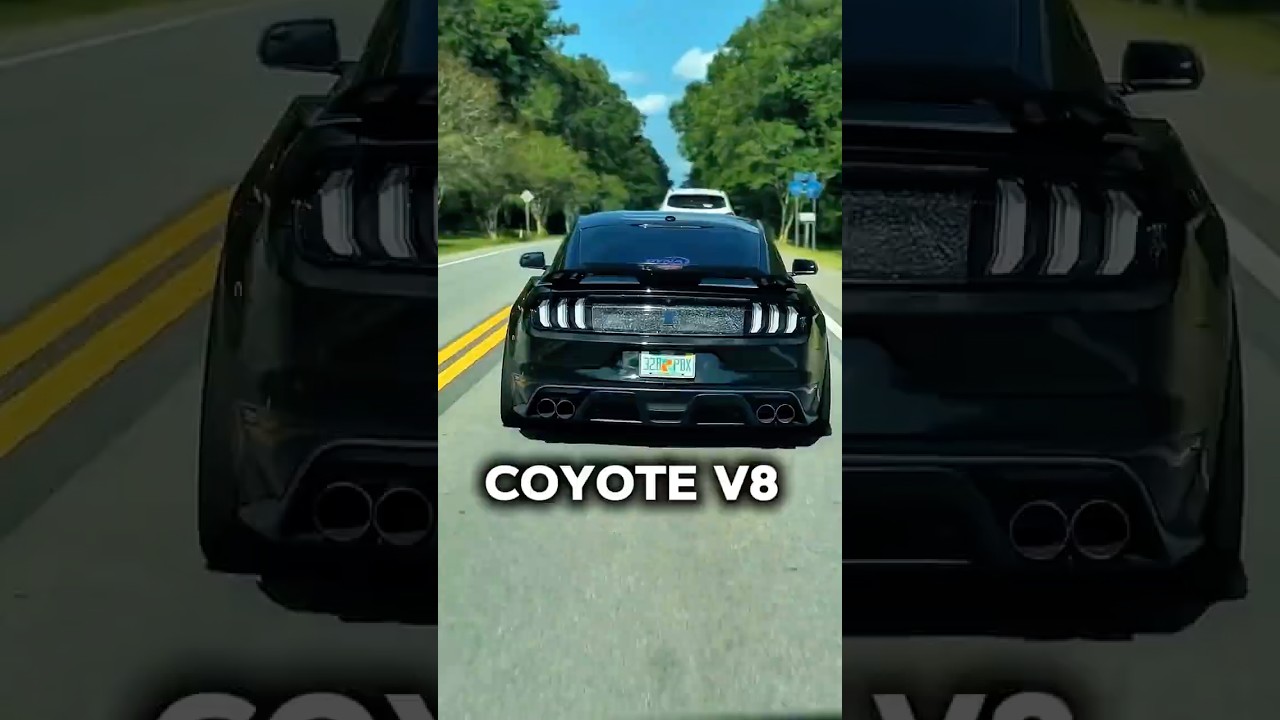 Why Ford’s 5.0 Coyote Is the Best Modern V8