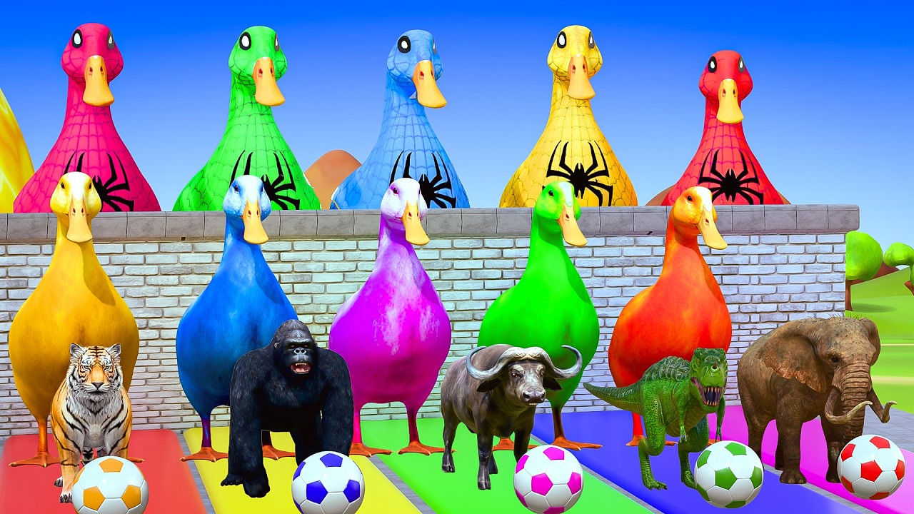 Long Slide Game with Colourful Duck Cow Tiger Gorilla Dog Elephant 3d Animal Game Funny 3d Animals