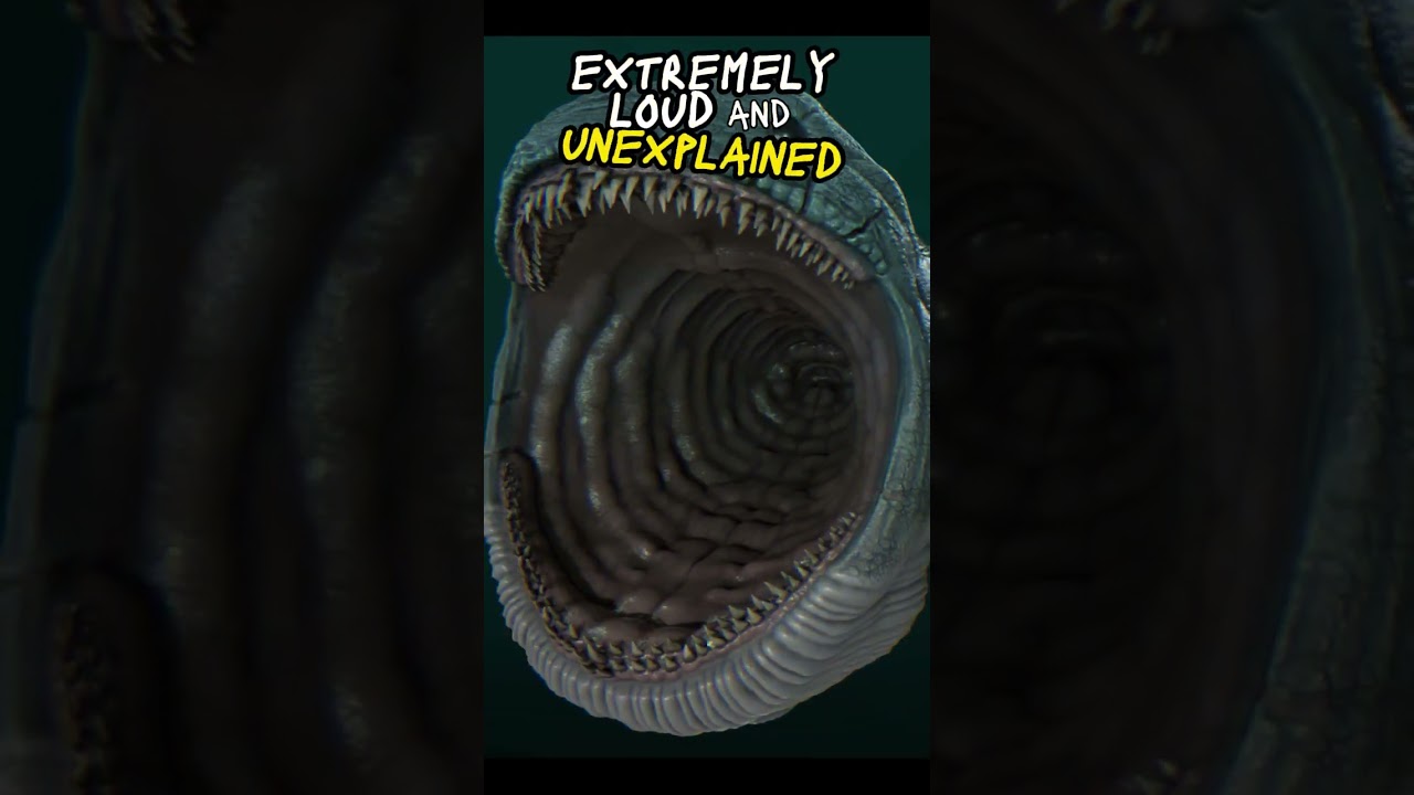 The Bloop (1997): Mysterious Ocean Sound 🌊