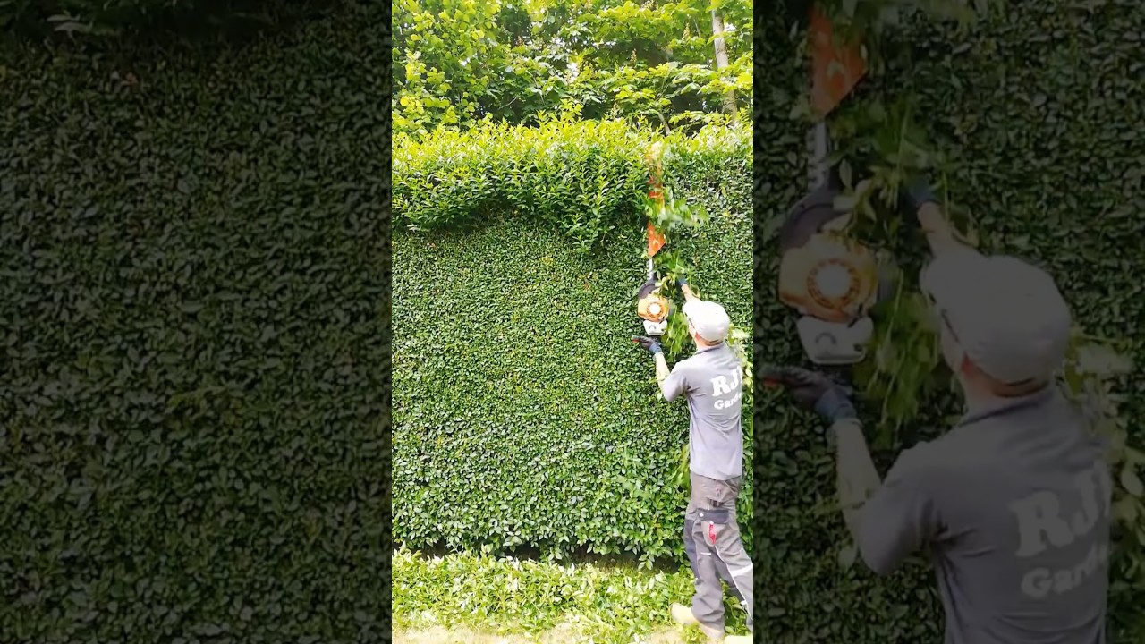 STIHL HS 87 T Hedge Trimmer Overview