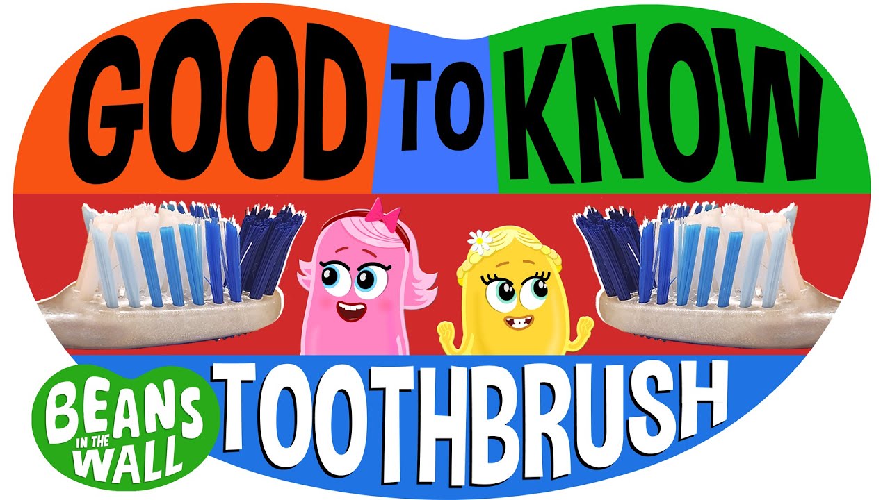 Kids Learn About Toothbrushes | Beans in the Wall 🦷