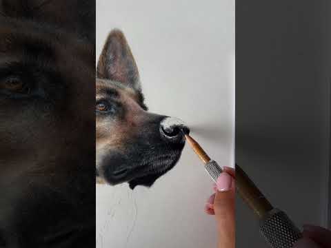 Drawing a dog nose in coloured pencil