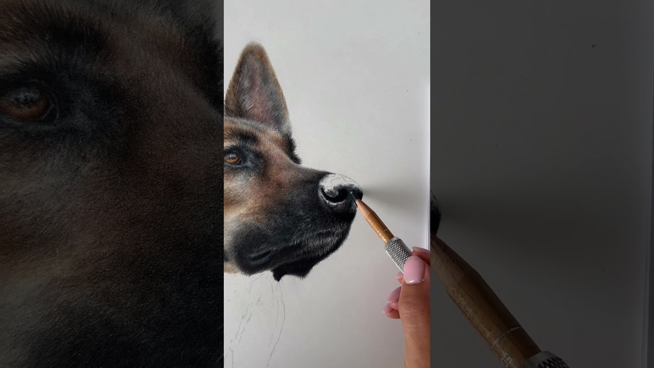 How to Draw a Dog's Nose with Colored Pencils