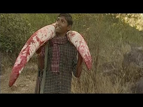 சந்தனக்காடு பகுதி 6 | Sandhanakadu Episode 6 | Makkal TV