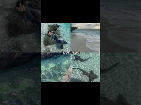 Which one do you choose? #aesthetic #nature #pinterest #trending #fyp