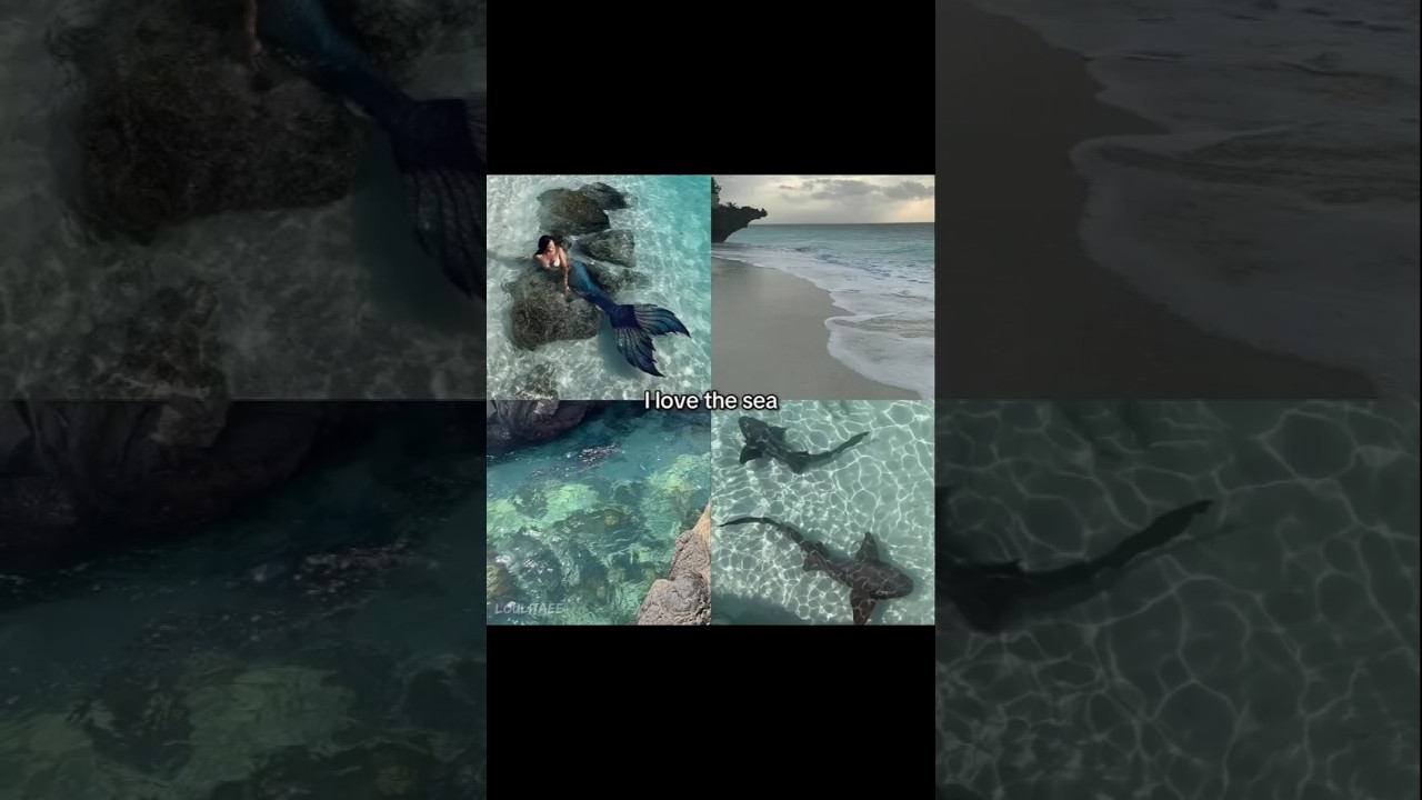 Which Do You Prefer? Aesthetic, Nature, or Pinterest? 🌿