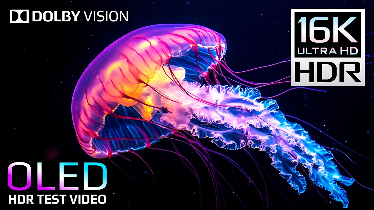 OLED HDR Test | Underwater Paradise in 16K HDR 120fps Dolby Vision (8K OLED & 4K TV Test)