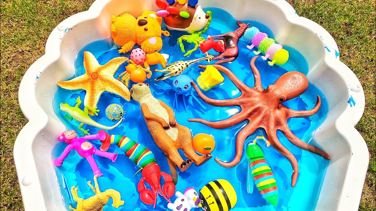 Animal Names for Kids: Pets, Farm, Safari & Sea 🐾