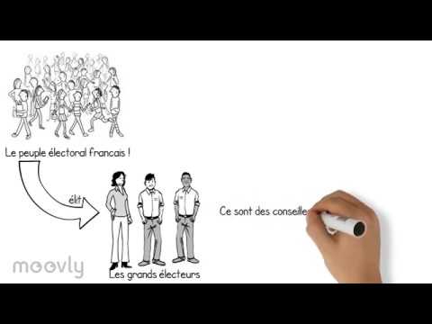 Le système politique français en 3 minutes 🇫🇷