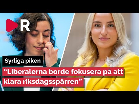 Denice Westerberg: Liberalerna borde fokusera på att klara riksdagsspärren
