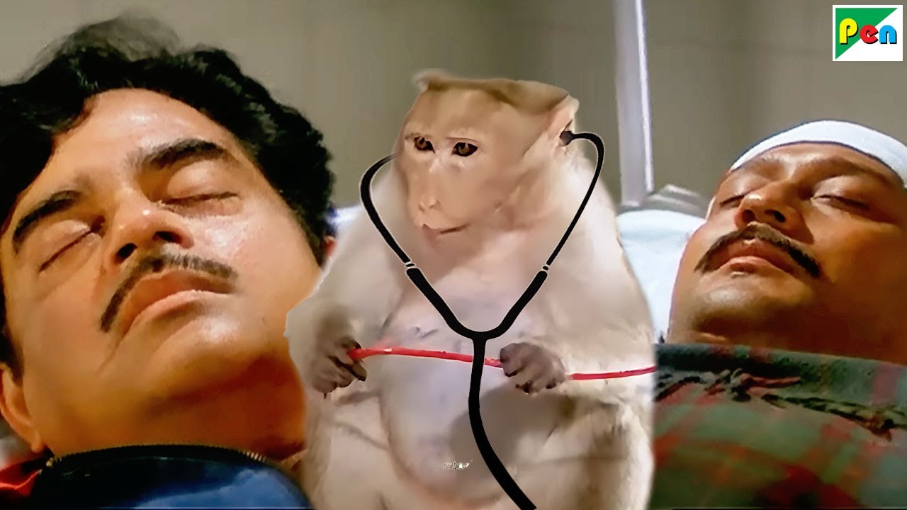 बंदर बन बजरंगबली डॉक्टर, खून रोककर बचाई जान 🩸