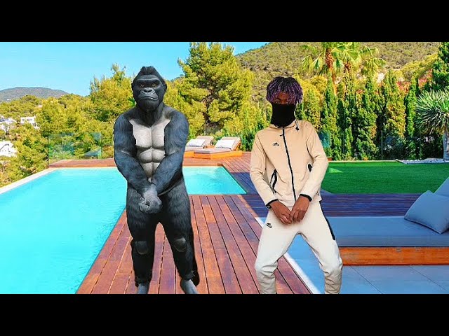 RENOI SANS EAU - Soothing Music to Relax and Unwind ๐ถ