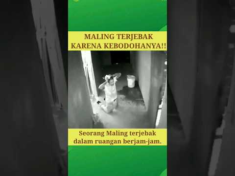 Maling Apes, Terjebak Di Dalam Ruangan Berjam-Jam #shorts