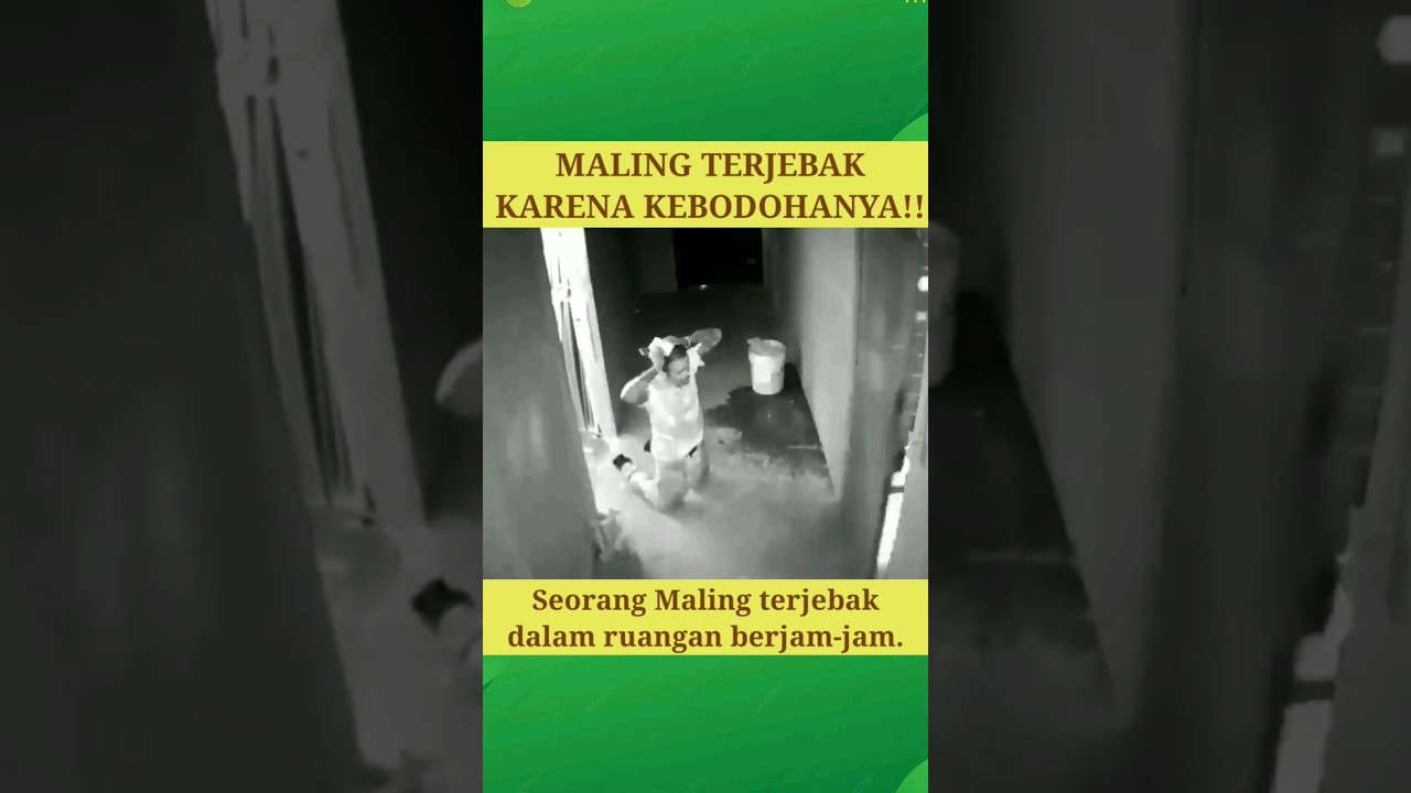 Maling Apes Terjebak di Dalam Ruangan Berjam-Jam #shorts