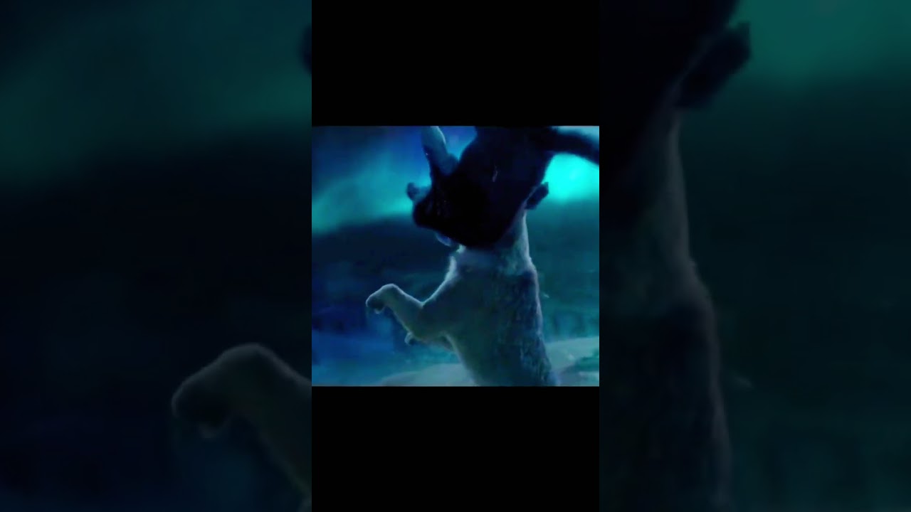 Buck vs Wolf Dog Fight 🐺