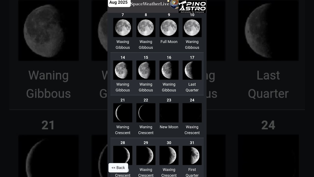 August 2025 Lunar Phases Calendar 🌕