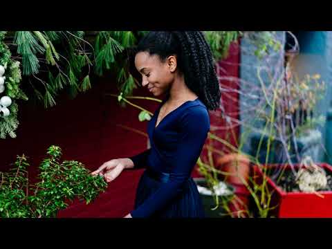 Anika Dara- Enjoy The Moment (Official Lyric Video)