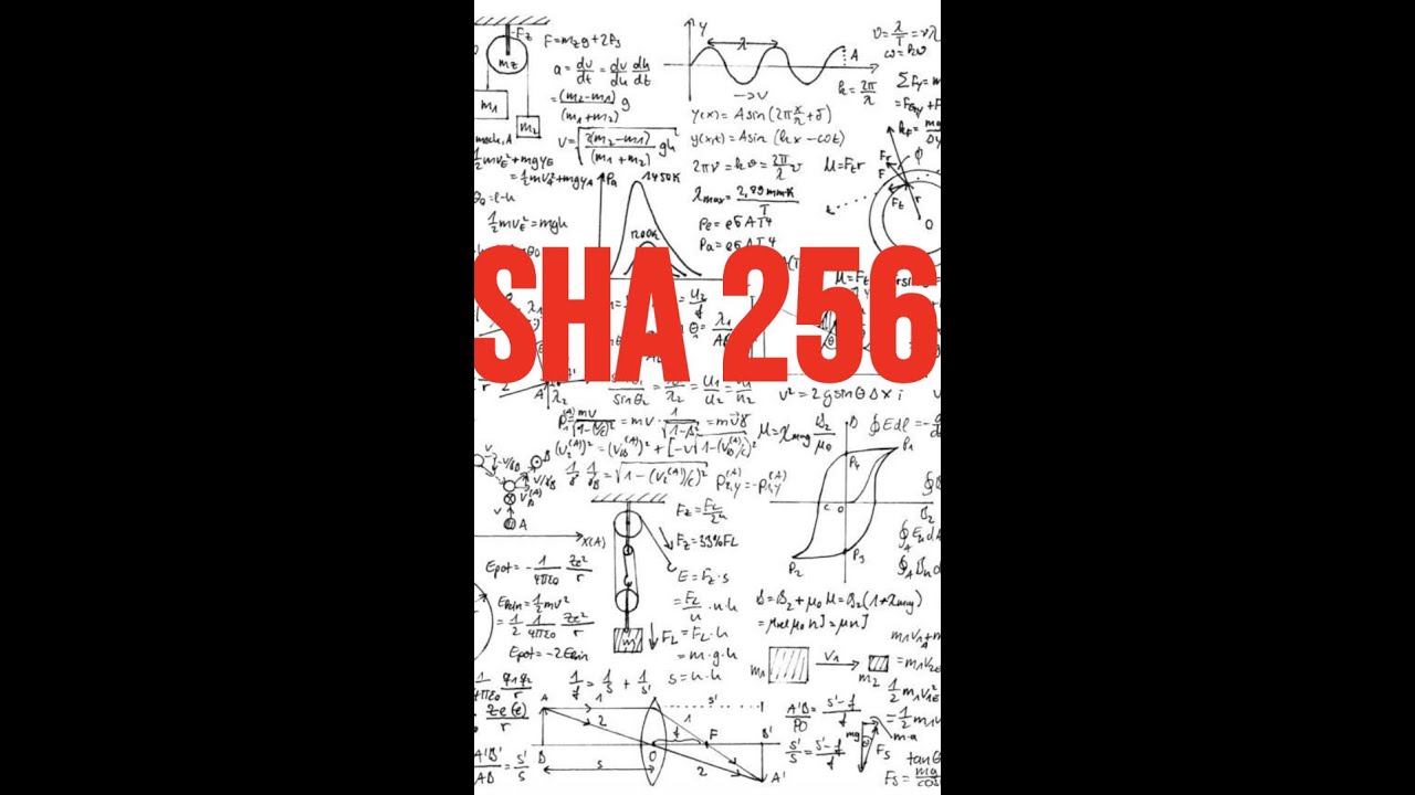 The Protector of Bitcoin: Introduction to the SHA-256 Algorithm
